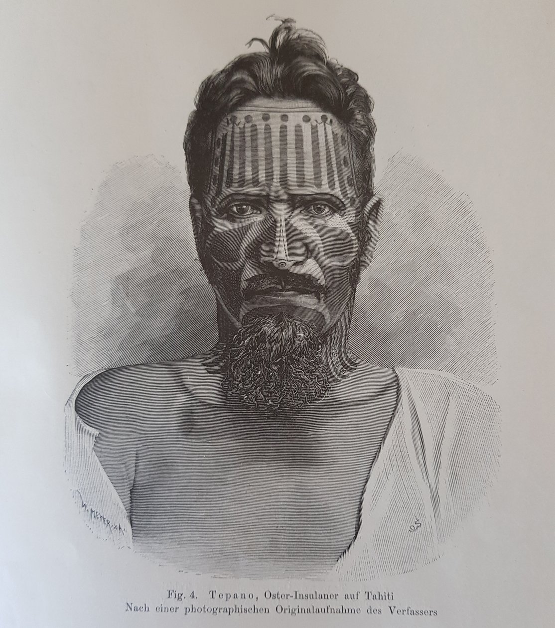 خوان تيبانو ، رسم توضيحي من "حول وشم سكان جزر عيد الفصح" ، بقلم هجالمار ستولب بواسطة كنوت حجلمار (بعد) ستولب