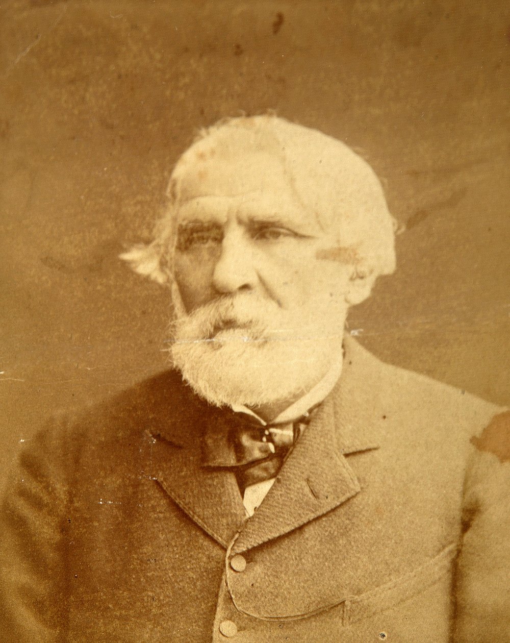 صورة للمؤلف إيفان سيرجيفيتش تورجينيف (سيرجيفيتش تورغينييف) (1818-1883). تصوير الألبومين كونستانتين شابيرو (1839-1900) بواسطة كونستانتين شابيرو