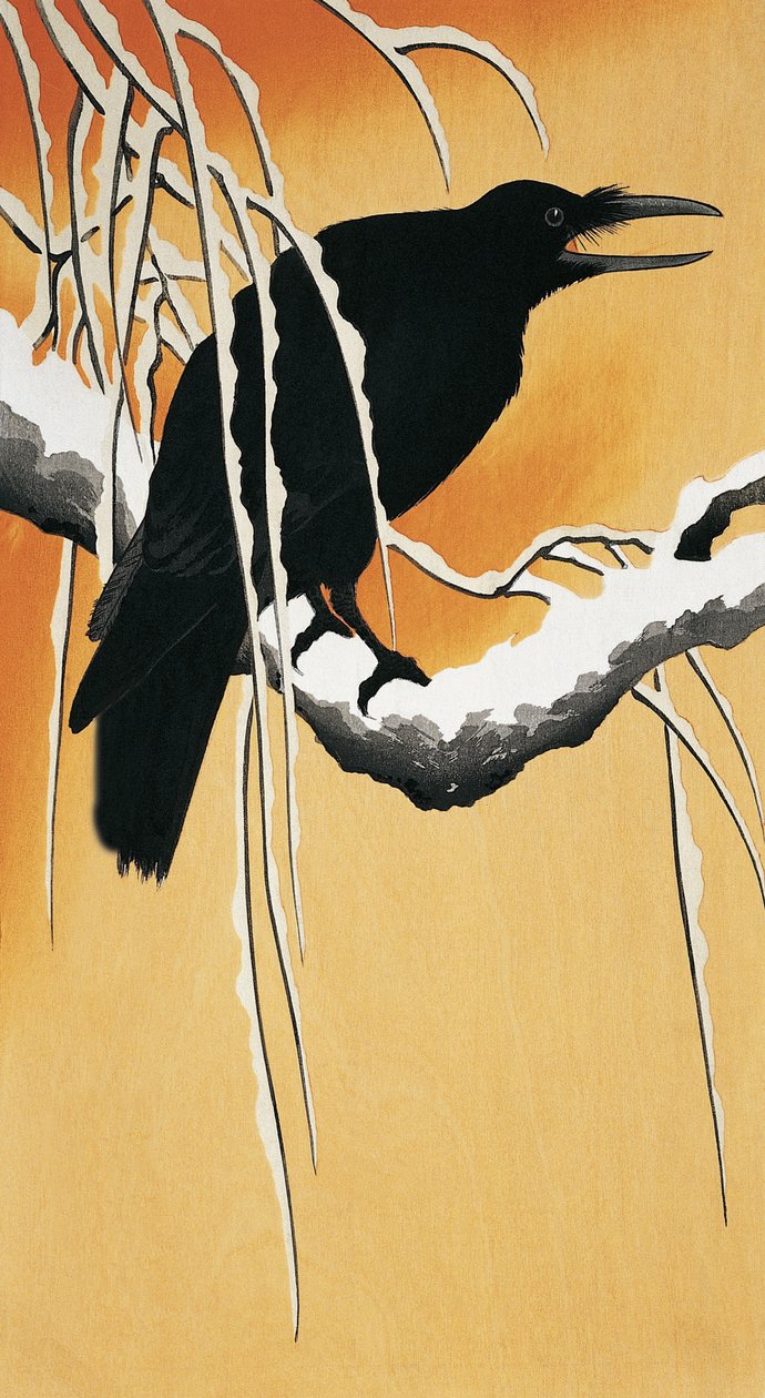 الغراب يجلس على غصن (Corvus corax) بواسطة اوهارا كوسون