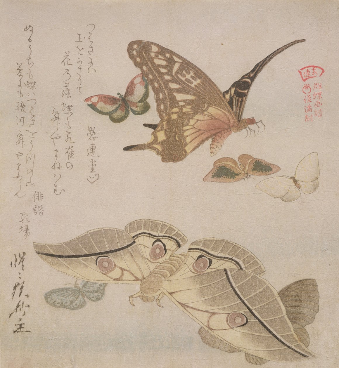 "Tsubasa ni wa ..." (السطر الأول من القصيدة) من سلسلة "مجموعة مصورة من الفراشات" ، c.1804-18 (طبعة خشبية) بواسطة كوبو شومان