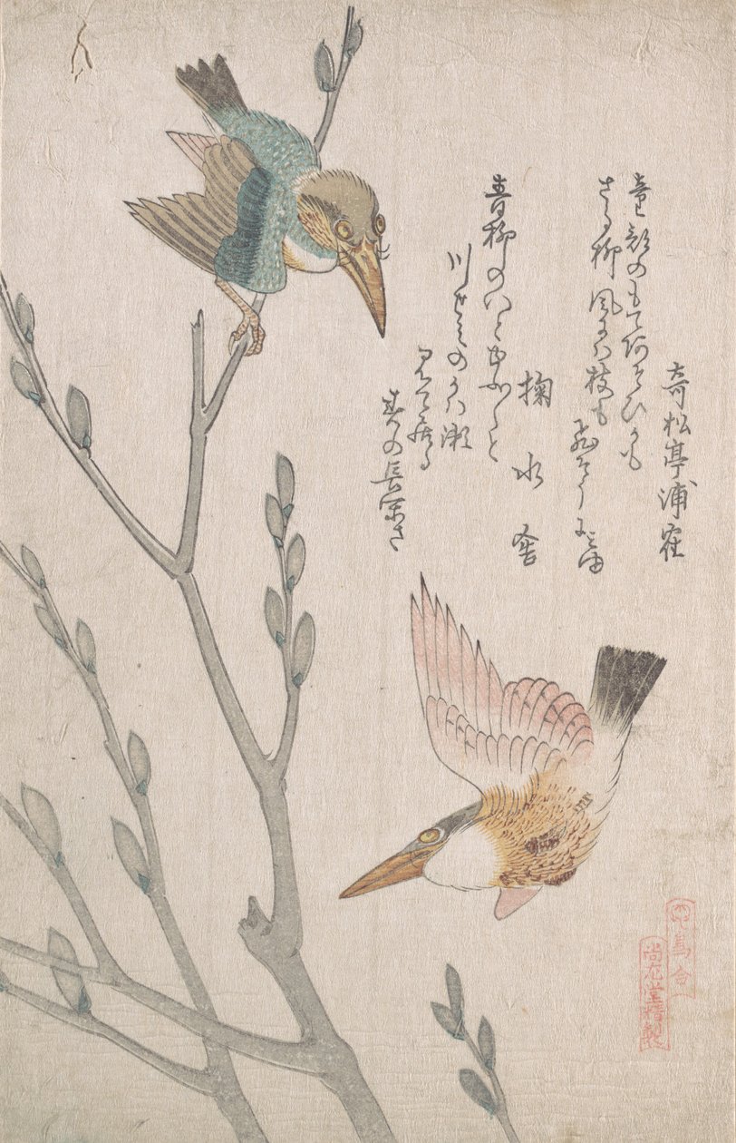 Kingfishers و Pussy-Willow ، القرن التاسع عشر. بواسطة كوبو شونمان