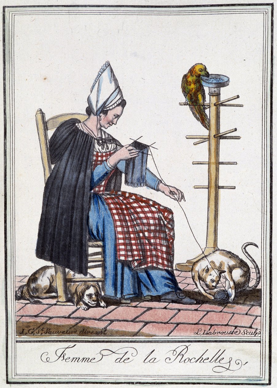Woman of La Rochelle knitting with a dog, a parrot and a cat playing with the ball of wool. بواسطة LF Labrousse