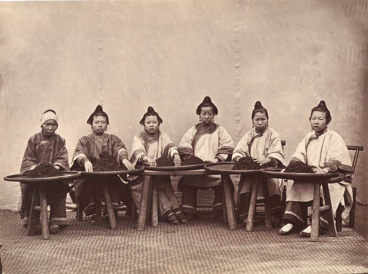 ذبح الشاي ، كاليفورنيا. 1869. بواسطة لاي فونغ.