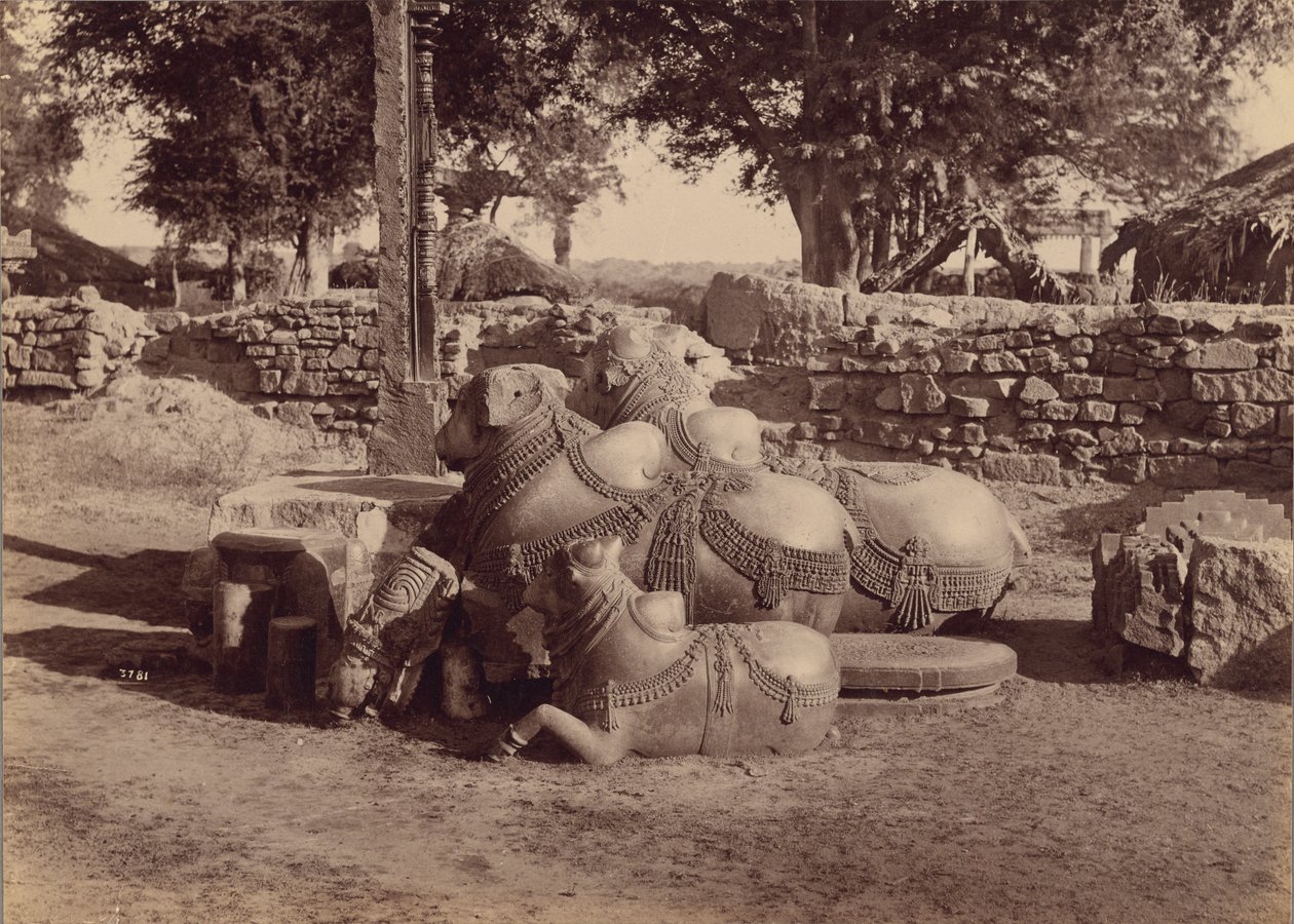  بواسطة لالا دين ديال