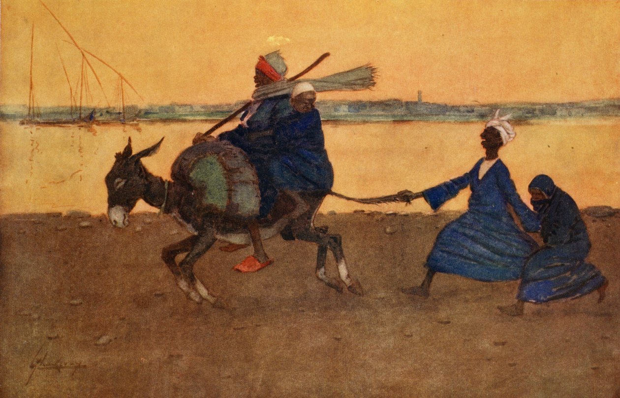 الحمار السخيف ، من "الجانب المضيء لمصر" ، 1908 بواسطة لانس ثاكيراي
