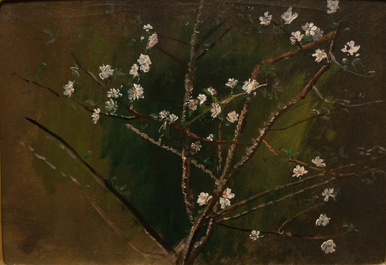 BlossomingnMagyar: Viragzasn بواسطة Laszlo Mednyanszky