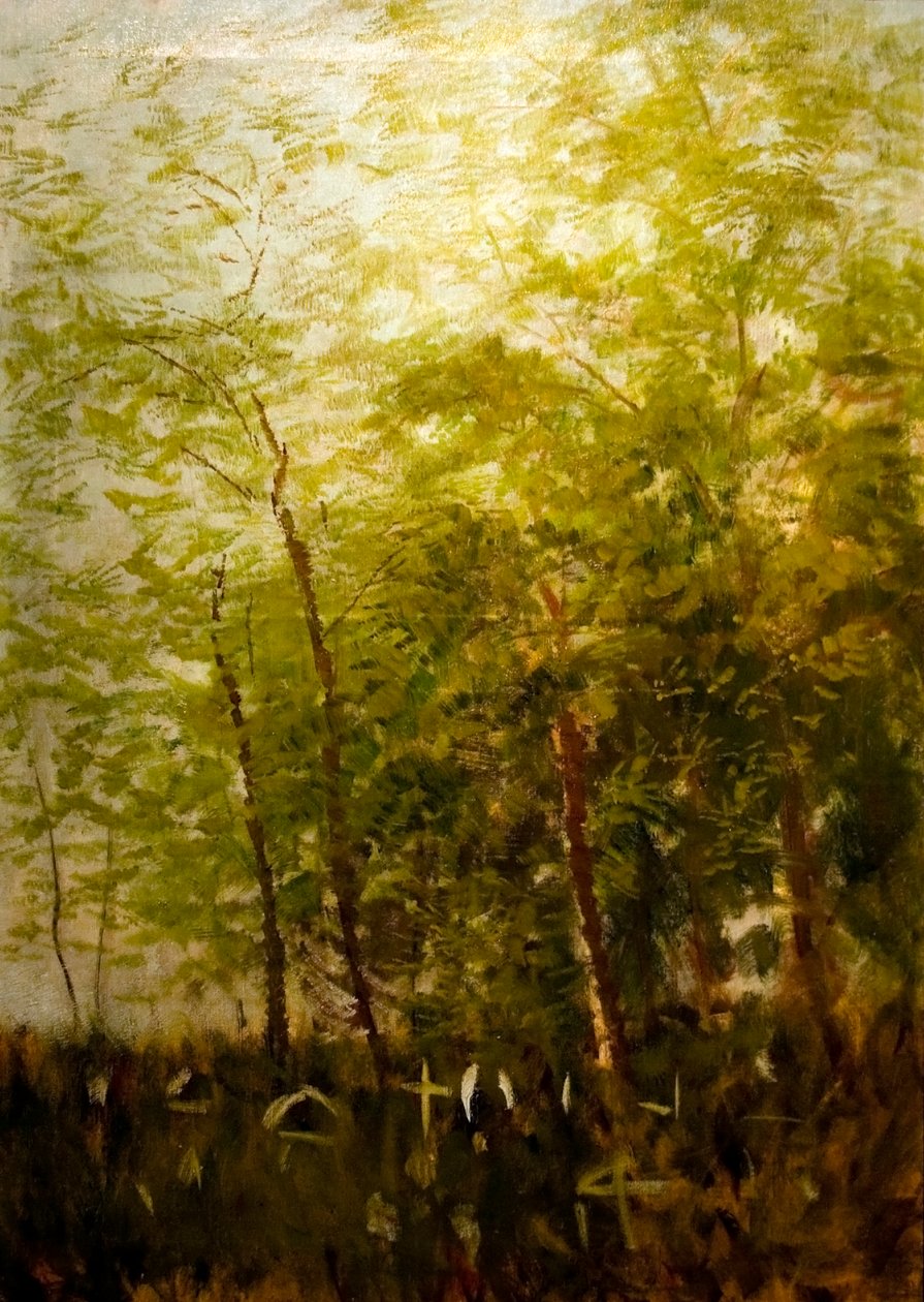 Erdoszele sirkeresztekkeln الإنجليزية: Fringe_of_Forest_with_Crossesn بواسطة Laszlo Mednyanszky