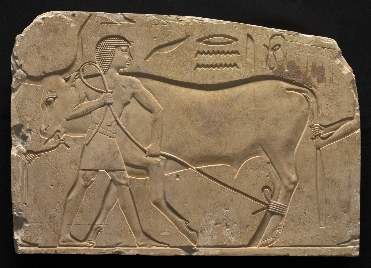الرجال تروس الثور ، 667-647 قبل الميلاد بواسطة العصر المتأخر المصري
