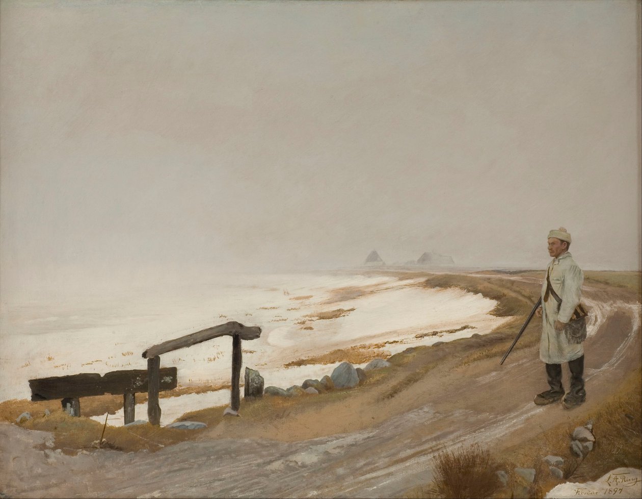 يوم شتاء ضبابي. Karrebæksminde بواسطة خاتم Andersen من Laurit
