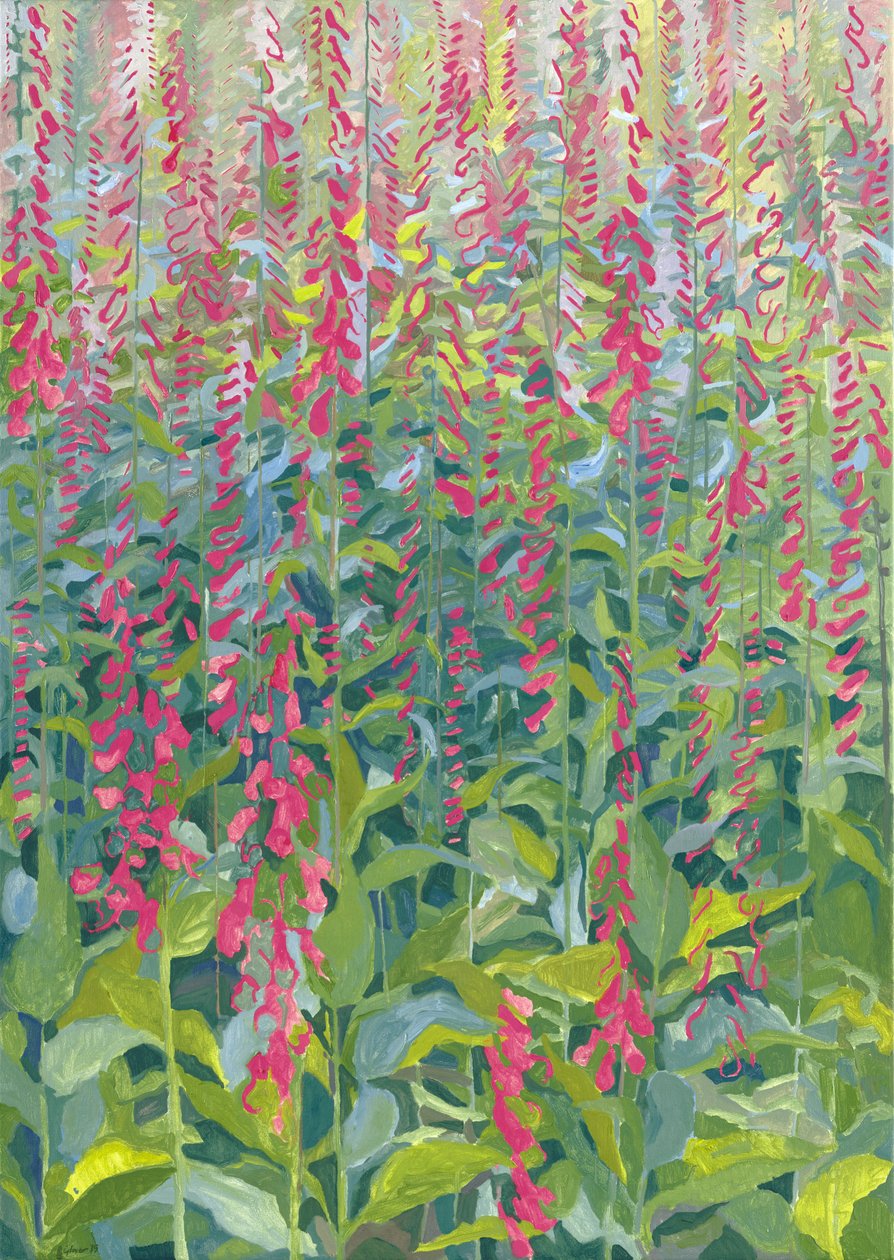 Foxgloves ، 2014 بواسطة لي غلوفر