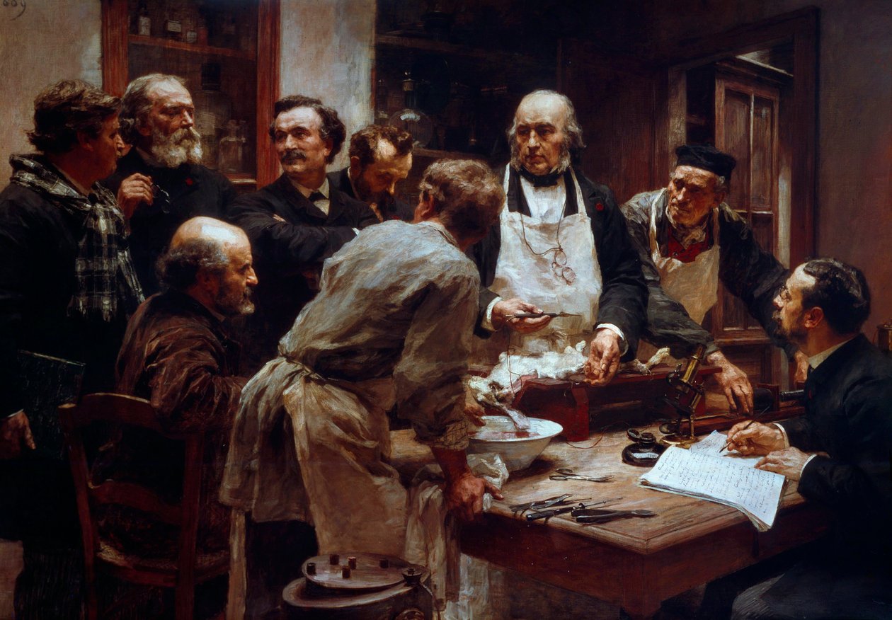 دورة تشريح الطبيب كلود برنارد (1813-1878) (مع المئزر) بحضور تلاميذه بول بيرت (1833-1886) ولوحة أرسين لأرسونفال (1851-1940) ليون أوجستين ليرميت (1844-1925) 19 القرن باريس ، أكاديمية العلوم بواسطة ليون أوغسطين ليرميت