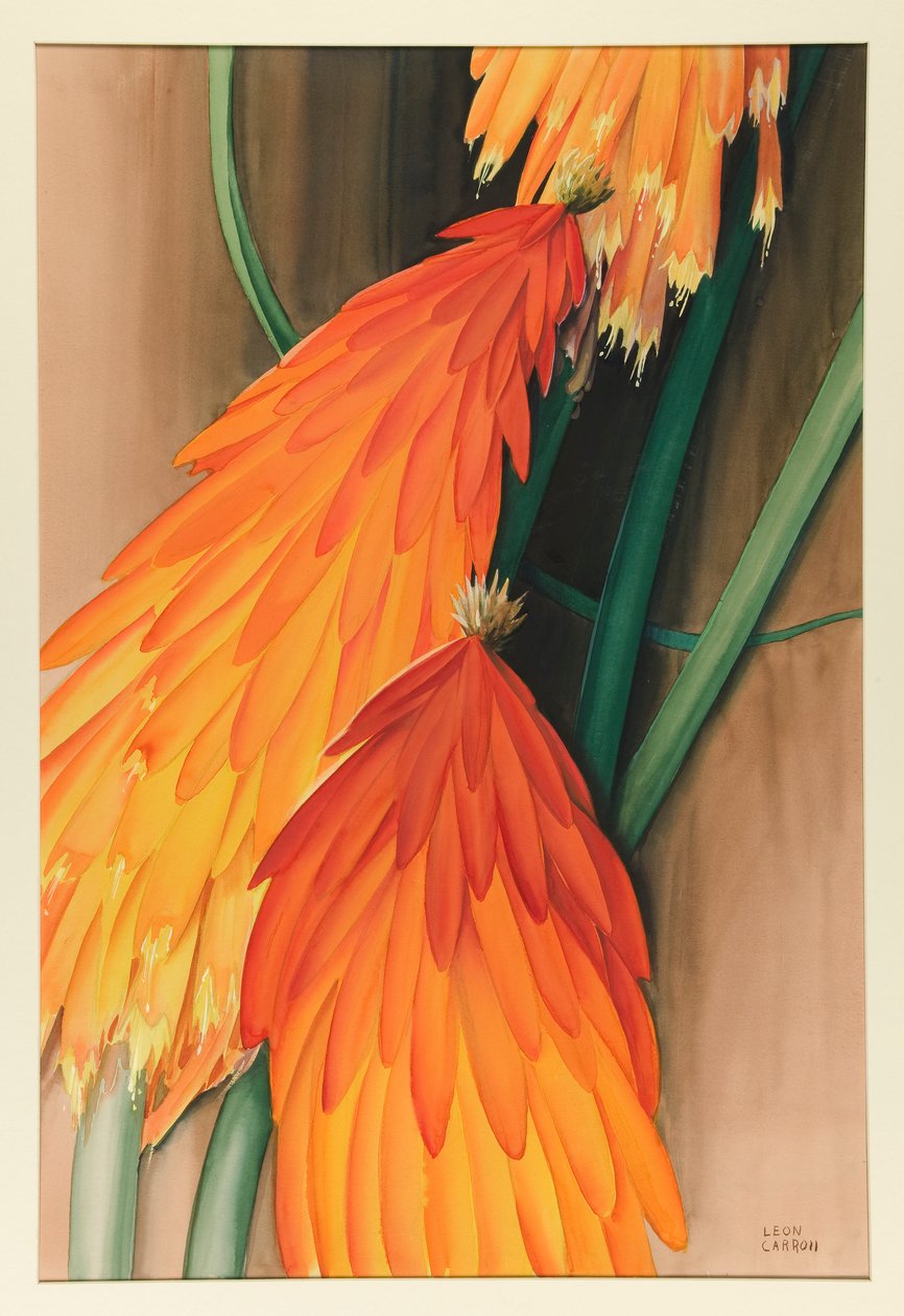 Skyrocket (Red Hot Poker) بواسطة ليون كارول