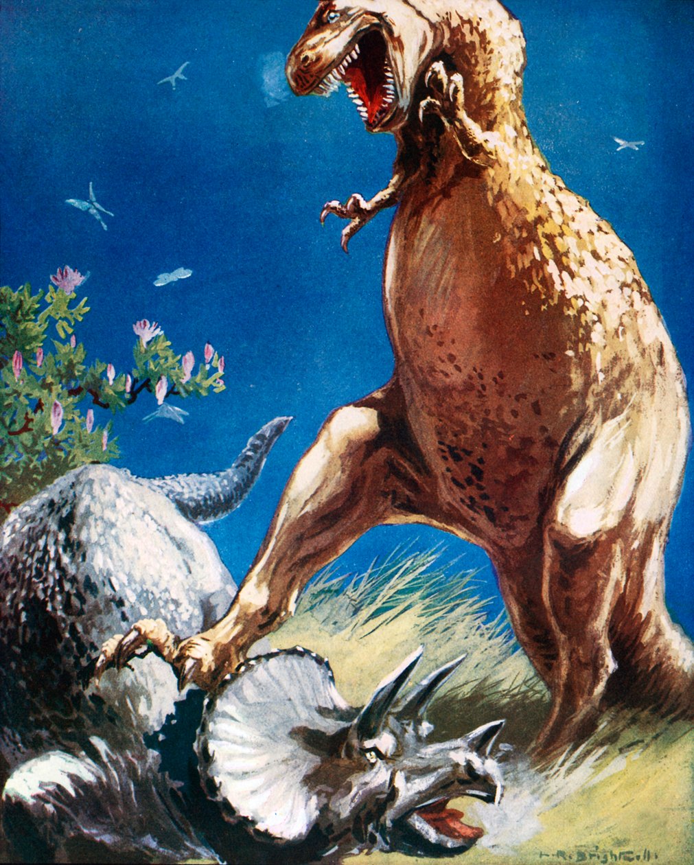  بواسطة ليونارد روبرت برايتويل