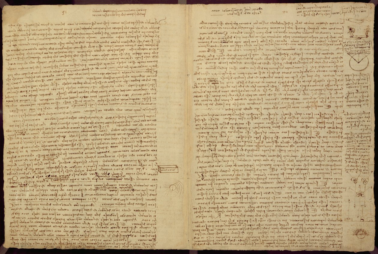صفحة من Codex Leicester ، 1508-12 (حبر بني داكن على ورق الكتان) بواسطة ليوناردو دا فينشي