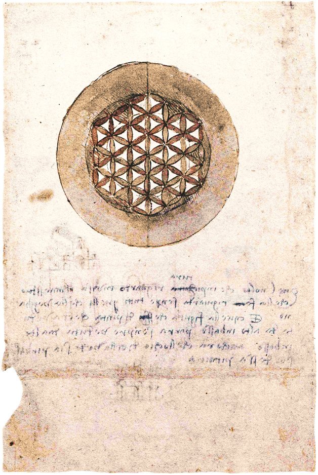 مجلد Codex Atlanticus folio 309v بواسطة ليوناردو دا فينشي