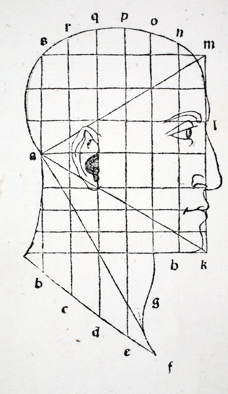 رسم توضيحي من "Divina Proportione" للكاتبة لوكا باسيولي (حوالي 1445-1517) ، حانة في الأصل. البندقية ، 1509 بواسطة ليوناردو دا فينشي