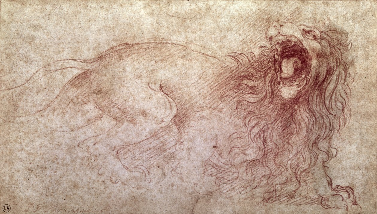 رسم لأسد هدير (طباشير أحمر على ورق) بواسطة ليوناردو دا فينشي