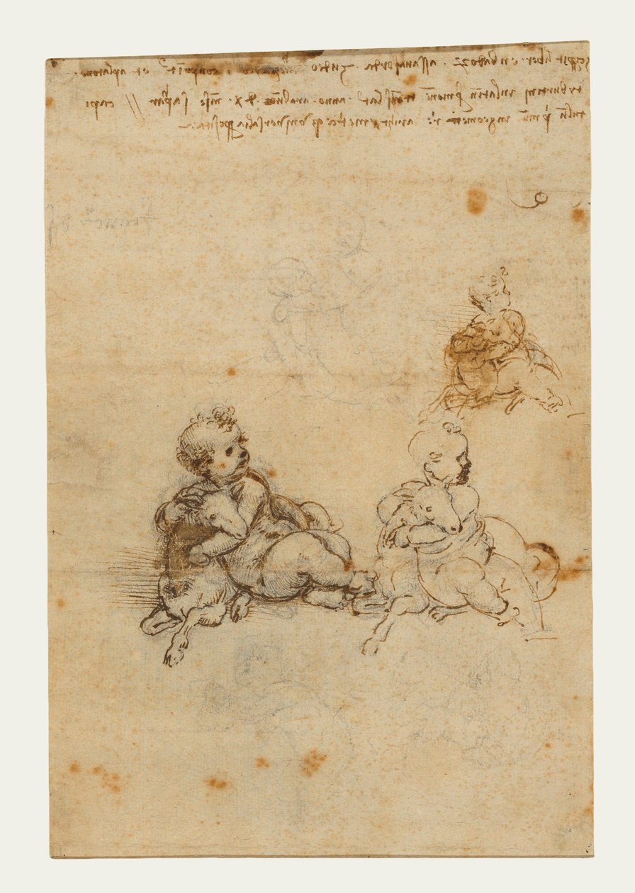 دراسات للطفل المسيح مع الحمل ، c.1503-1506 (الطباشير الأسود والقلم والحبر البني) بواسطة ليوناردو دا فينشي