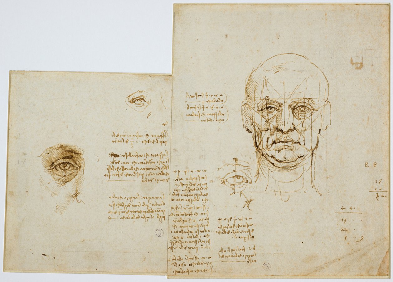 دراسات نسب الوجه والعين (مع ملاحظات) ، ج. 1489-90 (رأس معدني ، قلم وحبر بني على ورق) بواسطة ليوناردو دا فينشي