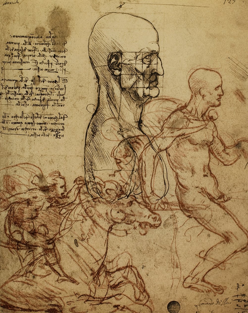 دراسة علم الفراسة البشري والفرسان لرسم لوحة Anghiari. رسم ليوناردو دا فينشي. غاليري ديل أكاديميسيا ، البندقية بواسطة ليوناردو دا فينشي