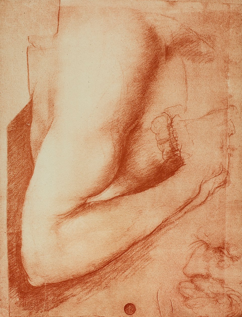 سودي ذراع ، رسم ليوناردو دا فينشي. غاليري ديل أكاديمي ، البندقية بواسطة ليوناردو دا فينشي