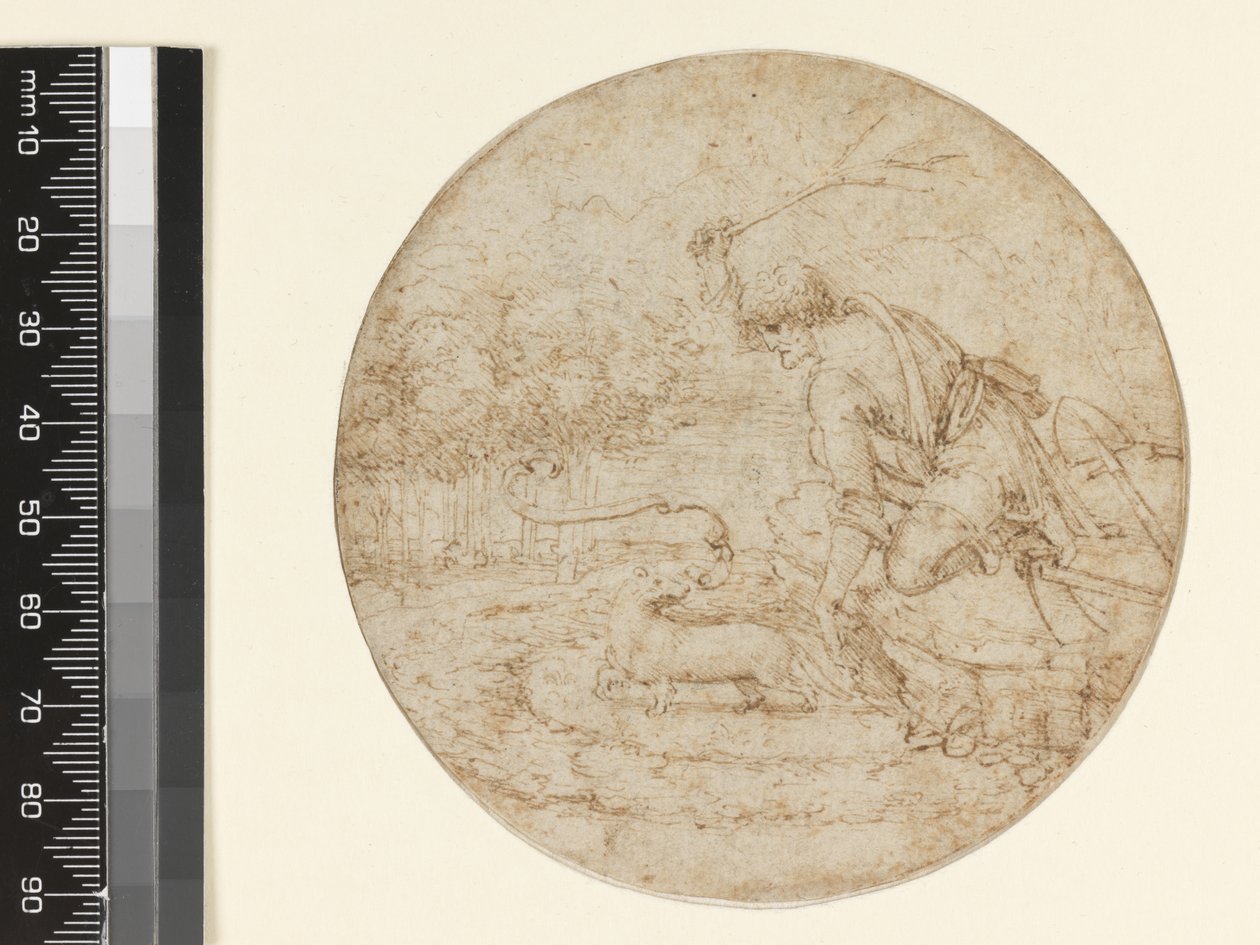 إرمين كرمز للنقاء ، c.1494 (قلم وحبر بني فوق أسود على ورق) بواسطة ليوناردو دا فينشي