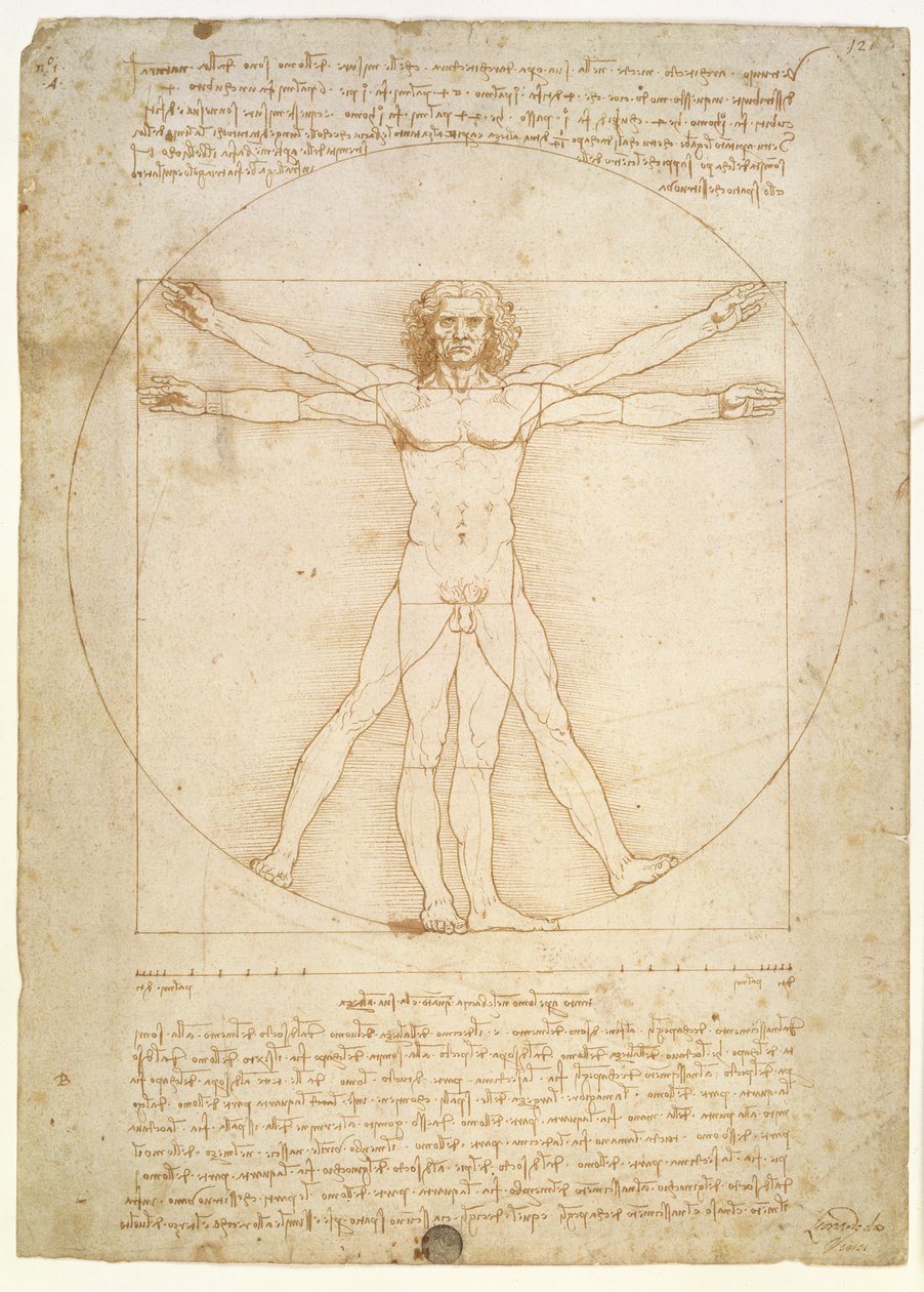 نسب الشكل البشري (بعد Vitruvius) ، ج 1492 بواسطة ليوناردو دا فينشي