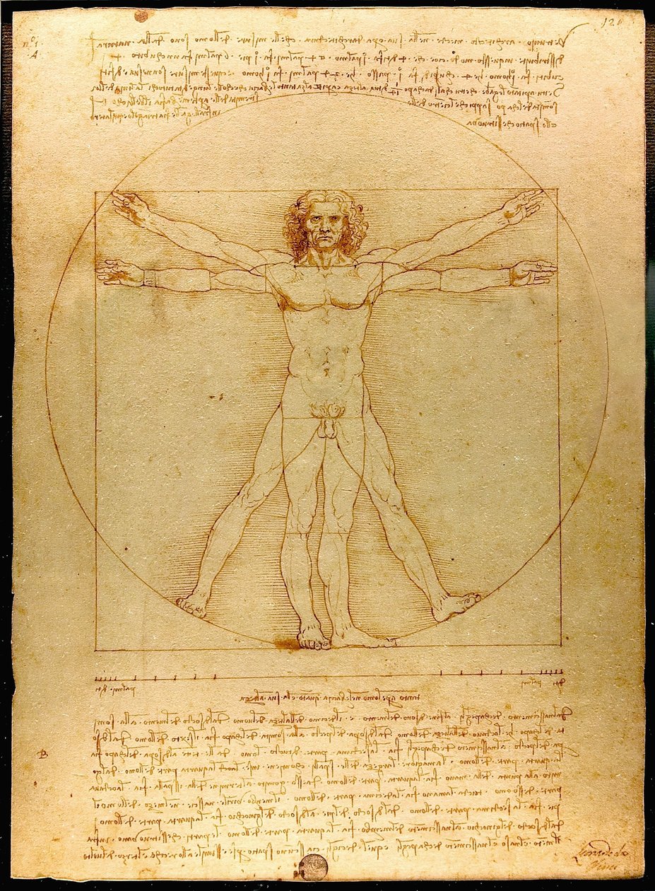 Vitruvius Luc Viatour بواسطة ليوناردو دا فينشي