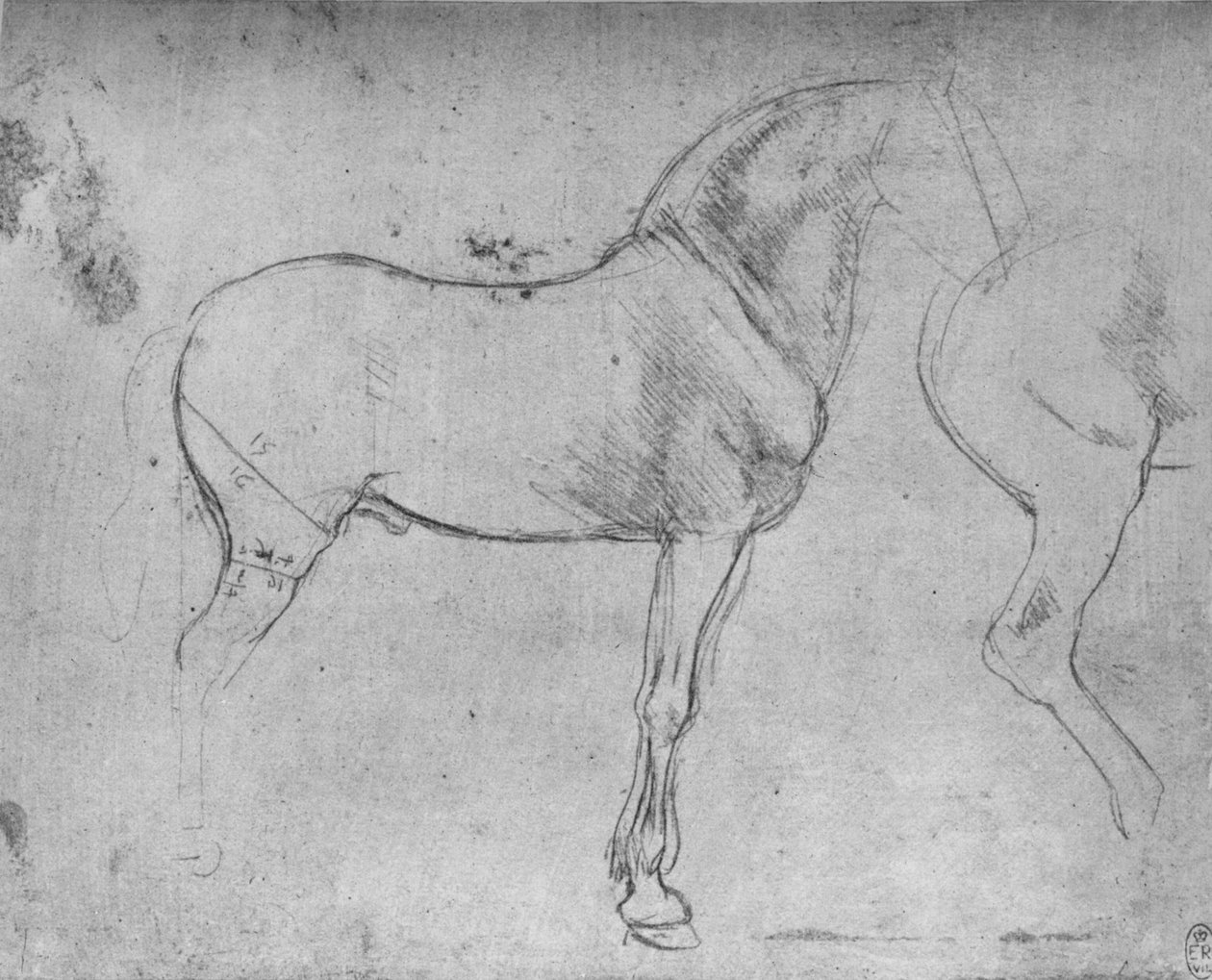 حصان في الملف الشخصي إلى اليمين وأحياءه هند ، c1480 1945 بواسطة ليوناردو دا فينشي