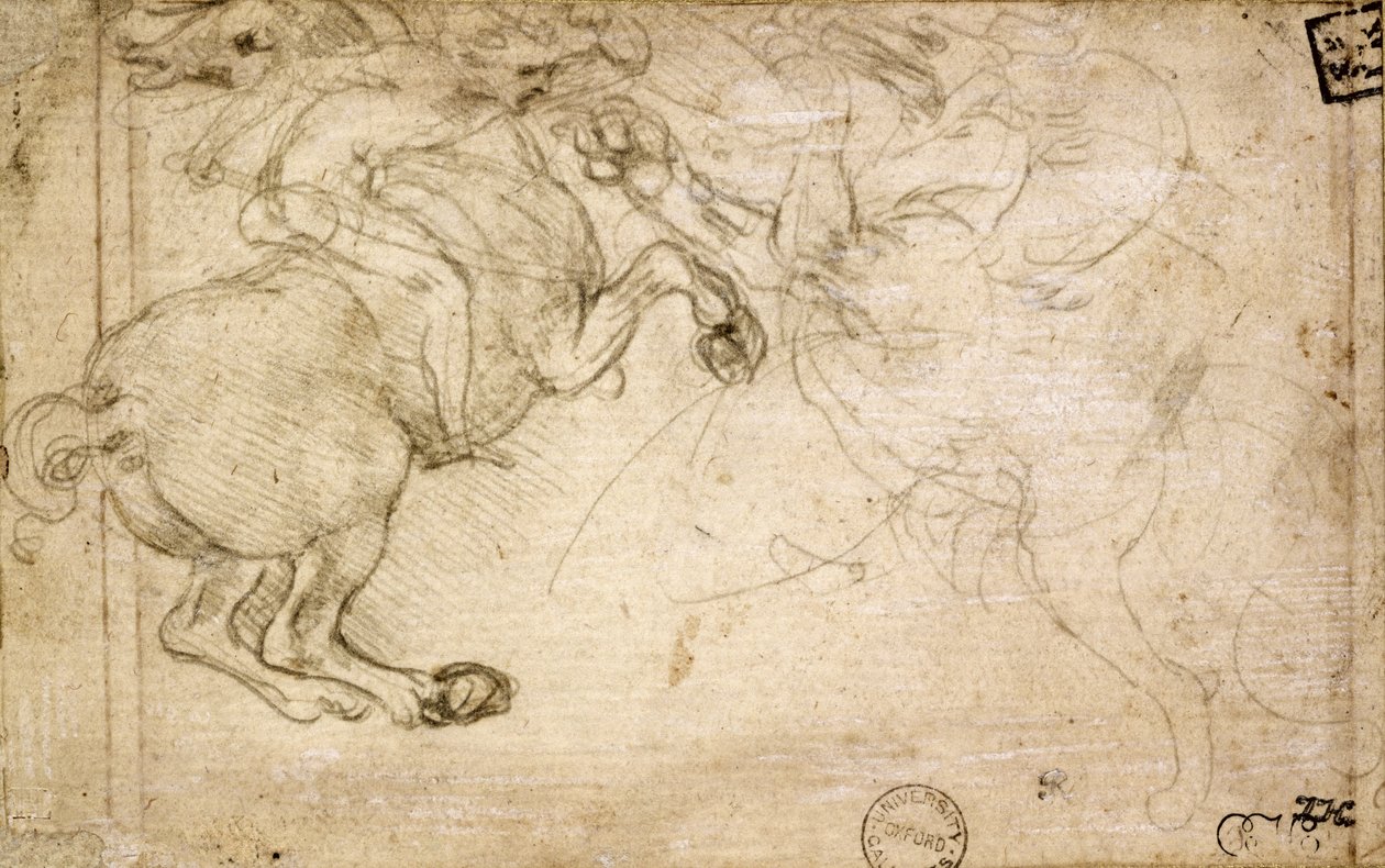 فارس في قتال مع غريفين ، القرن السادس عشر (silverpoint on paper) بواسطة ليوناردو دا فينشي