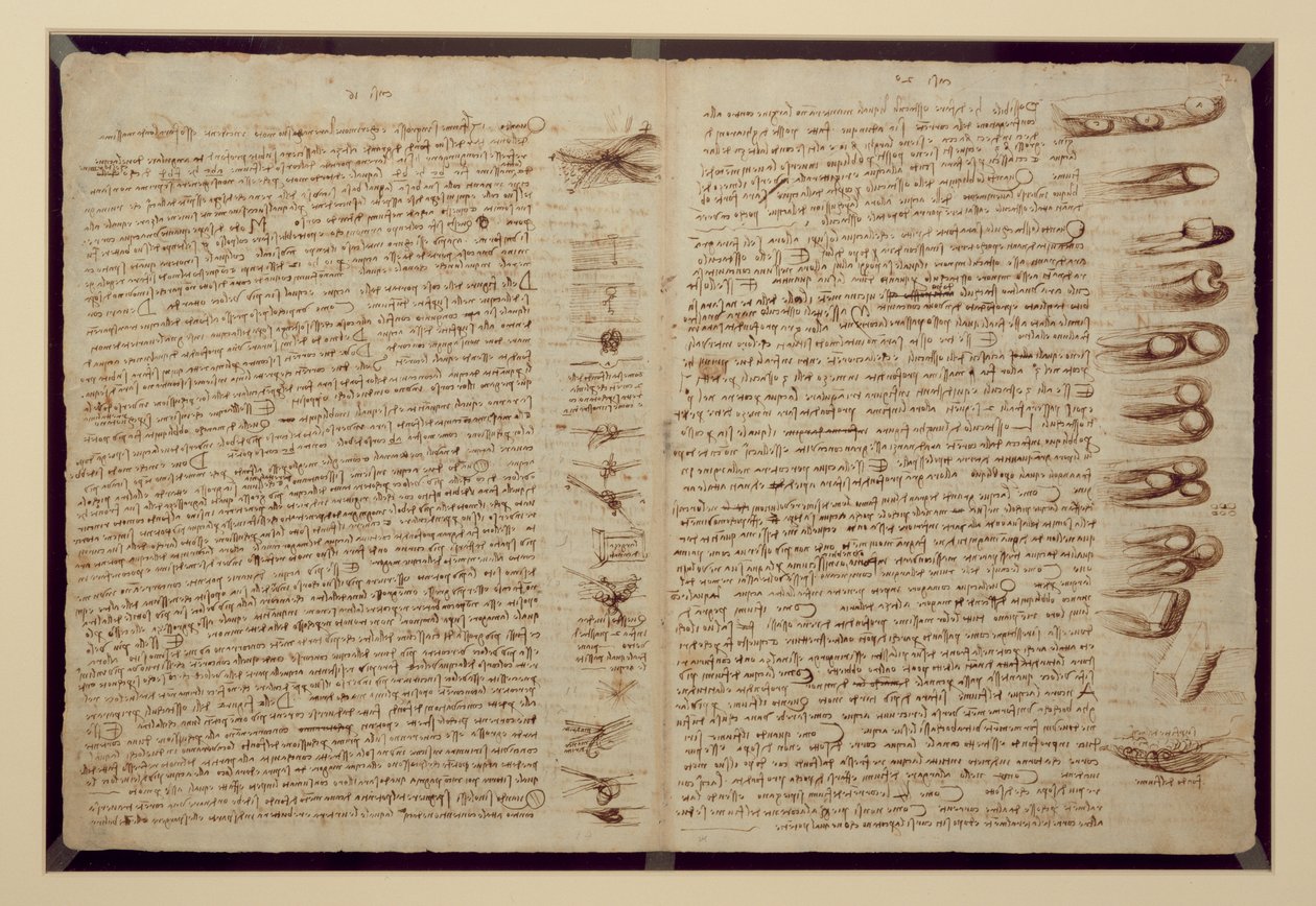 صفحة من Codex Leicester ، 1508-12 (حبر بني داكن على ورق الكتان) بواسطة ليوناردو دا فينشي