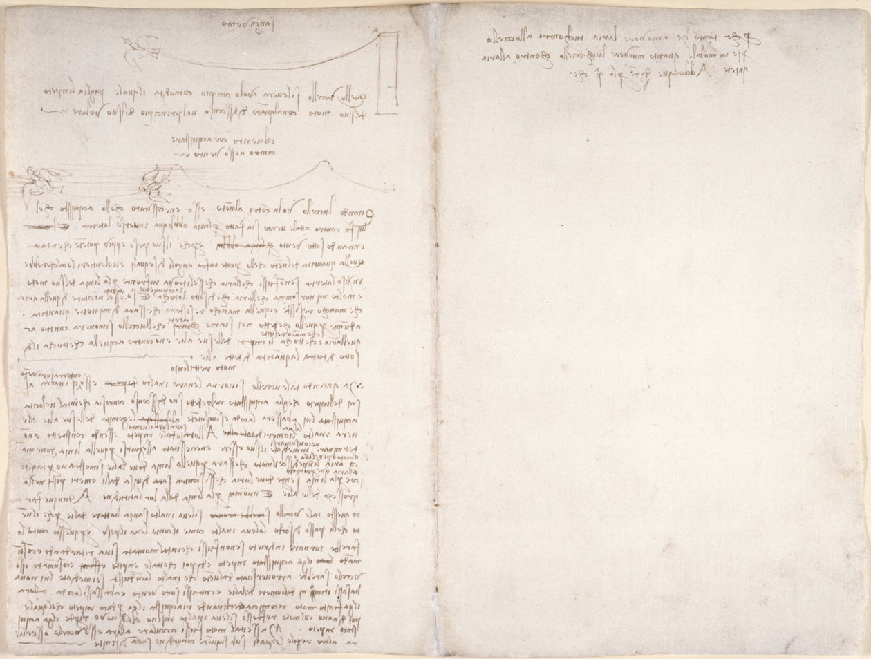Arundel 263، f.166v، f.163 ملاحظات ورسوم بيانية عن تحليق الطيور ، من "Codex Arundel"، c.1500-5 (قلم حبر وحبر على ورق) بواسطة ليوناردو دا فينشي