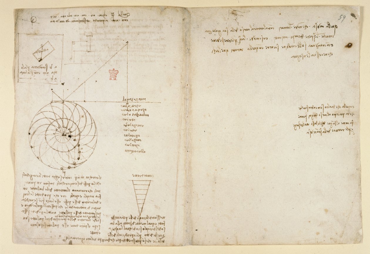 Arundel 263، f.44v، f.59 رسم تخطيطي لعين وأنف وجه في صورة جانبية ؛ ملاحظات حول الماء ، من "Codex Arundel" (قلم وحبر على ورق) بواسطة ليوناردو دا فينشي