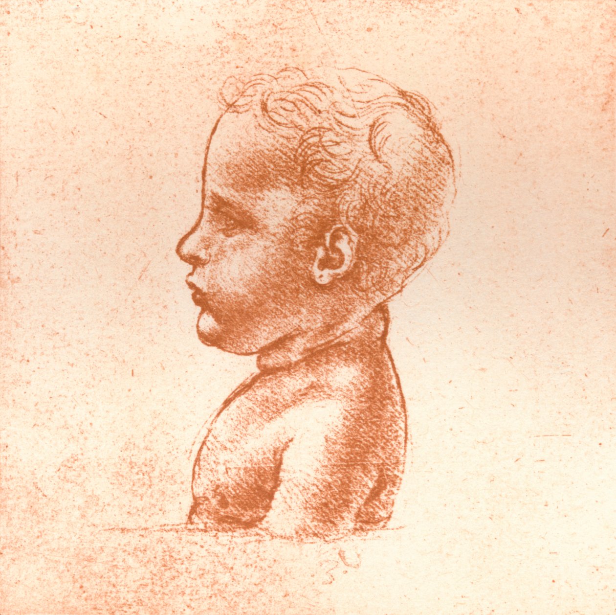 تمثال نصفي لصبي ، c1472-c1519 1883 بواسطة ليوناردو دا فينشي