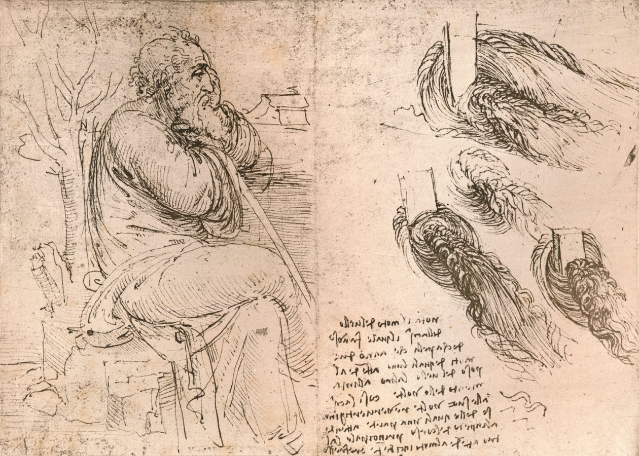 رسم يوضح تمثيل تساقط الشعر في تجعيد الشعر ، c1472-c1519 1883 بواسطة ليوناردو دا فينشي