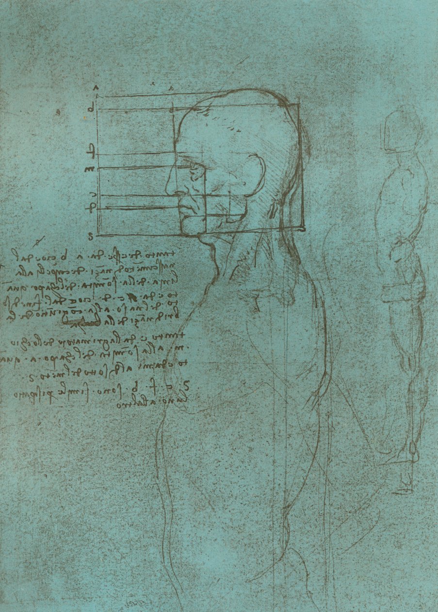 رسم يوضح نظرية نسب الشكل البشري ، c1472-c1519 1883. بواسطة ليوناردو دا فينشي