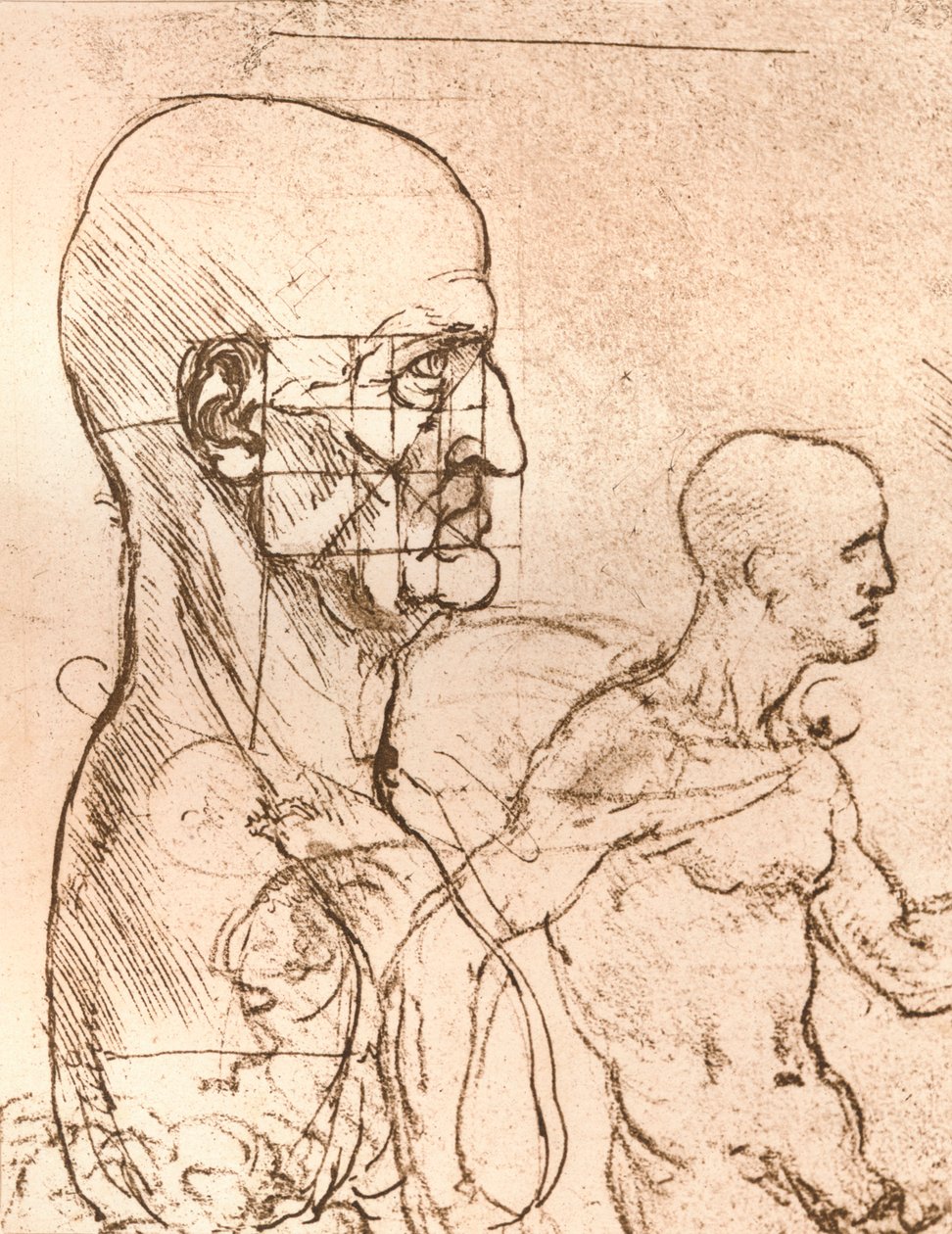 رسم يوضح نظرية نسب الشكل البشري ، c1472-c1519 1883 بواسطة ليوناردو دا فينشي