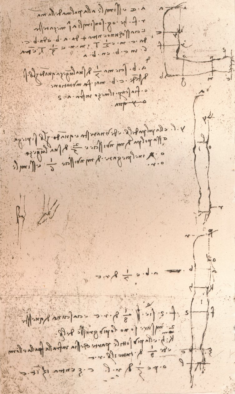 رسم يوضح نظرية نسب الشكل البشري ، c1472-c1519 1883 بواسطة ليوناردو دا فينشي
