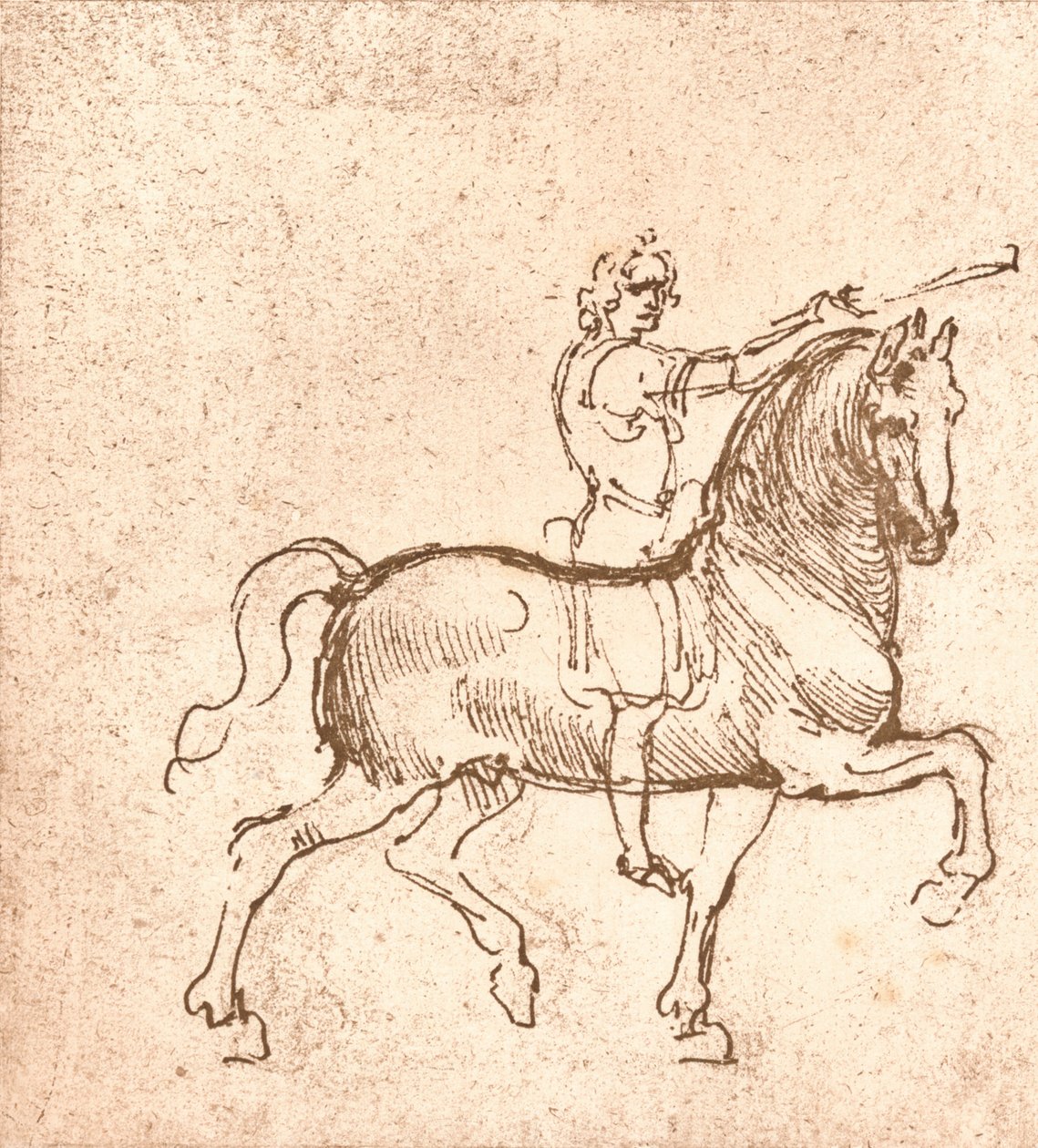 رسم حصان مشي ، c1472-c1519 1883 بواسطة ليوناردو دا فينشي