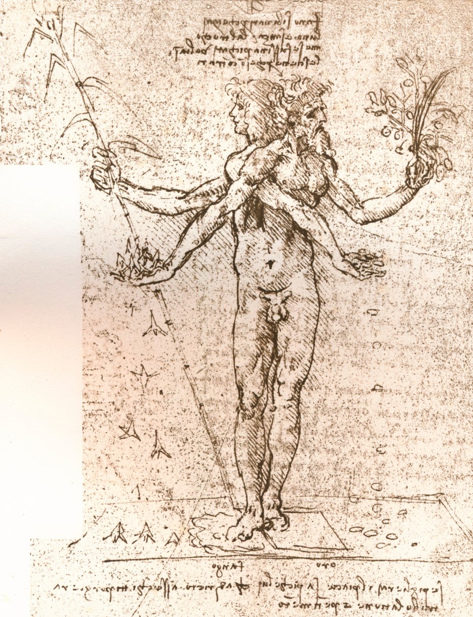رسم لتكوين استعاري ، c1472-c1519 1883 بواسطة ليوناردو دا فينشي
