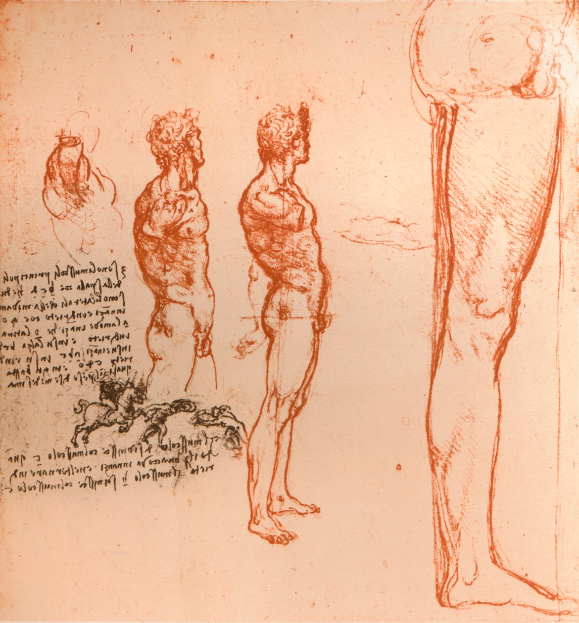 رسومات توضح حركات الشكل البشري وقتال المحاربين ، c1472-c1519 1883 بواسطة ليوناردو دا فينشي