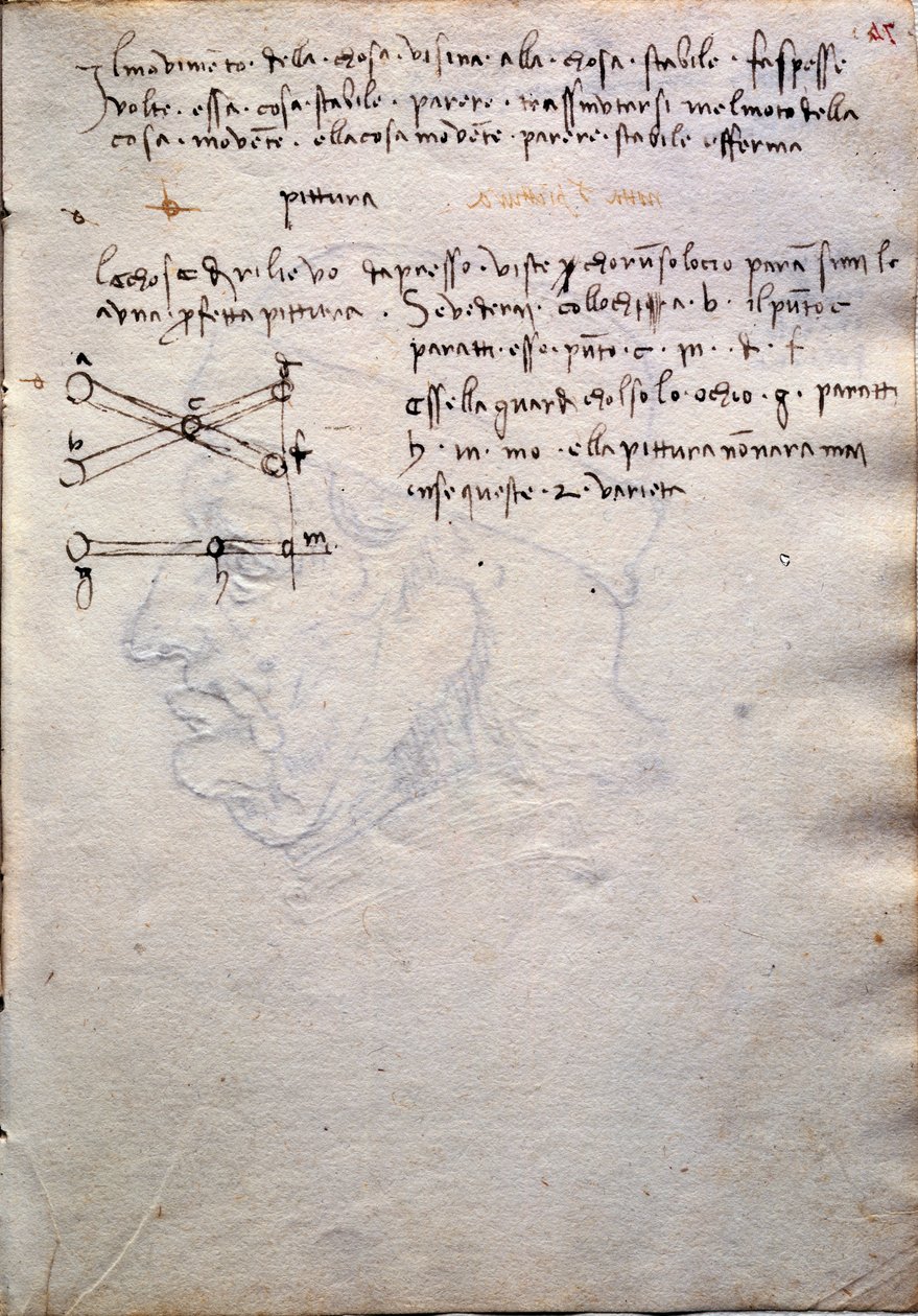 مقتطف من كتاب اللوحات من Codex Trivulzianus بواسطة ليوناردو دا فينشي