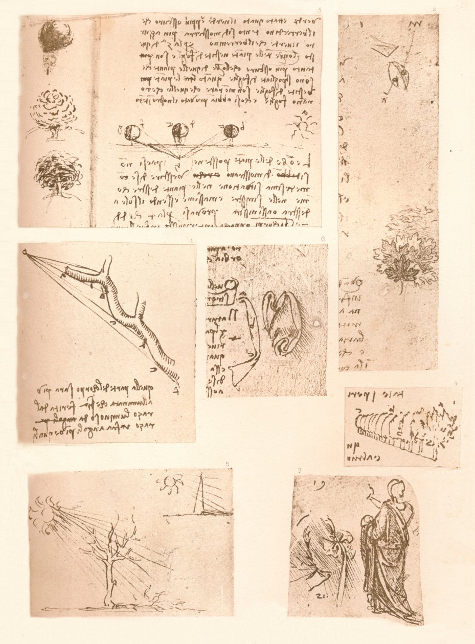 خمسة رسومات توضح عناصر رسم المناظر الطبيعية ، c1472-c1519 1883 بواسطة ليوناردو دا فينشي