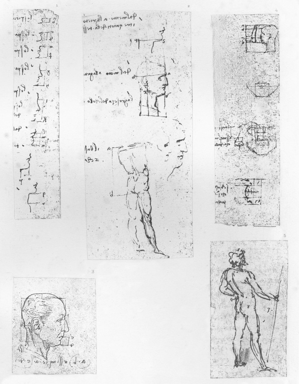 خمسة رسومات توضح نظرية نسب الشكل البشري ، c1472-c1519 1883 بواسطة ليوناردو دا فينشي