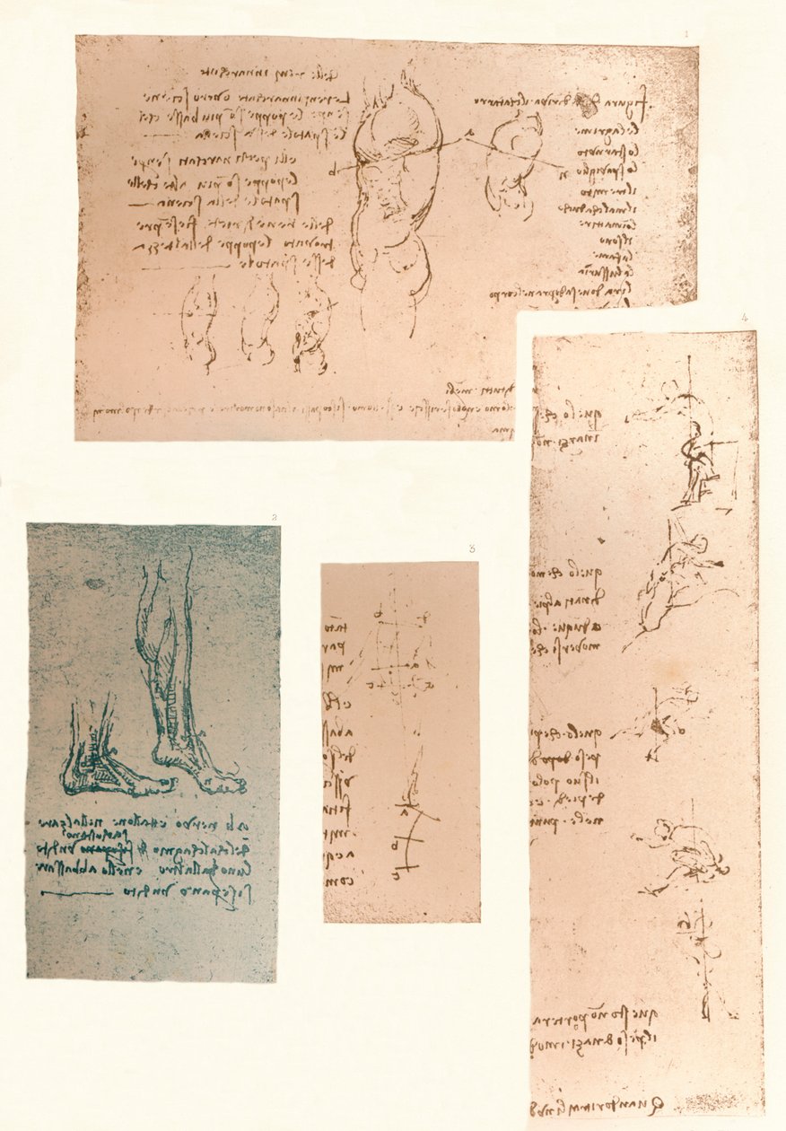 أربع رسومات توضح نظرية حركات الشكل البشري ، c1472-c1519 1883 بواسطة ليوناردو دا فينشي