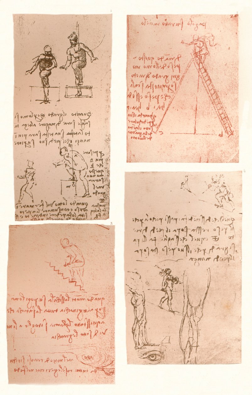 أربع رسومات توضح نظرية حركات الشكل البشري ، c1472-c1519 1883 بواسطة ليوناردو دا فينشي