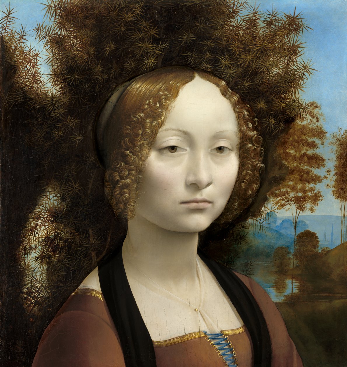 Ginevra de Benci بواسطة ليوناردو دا فينشي