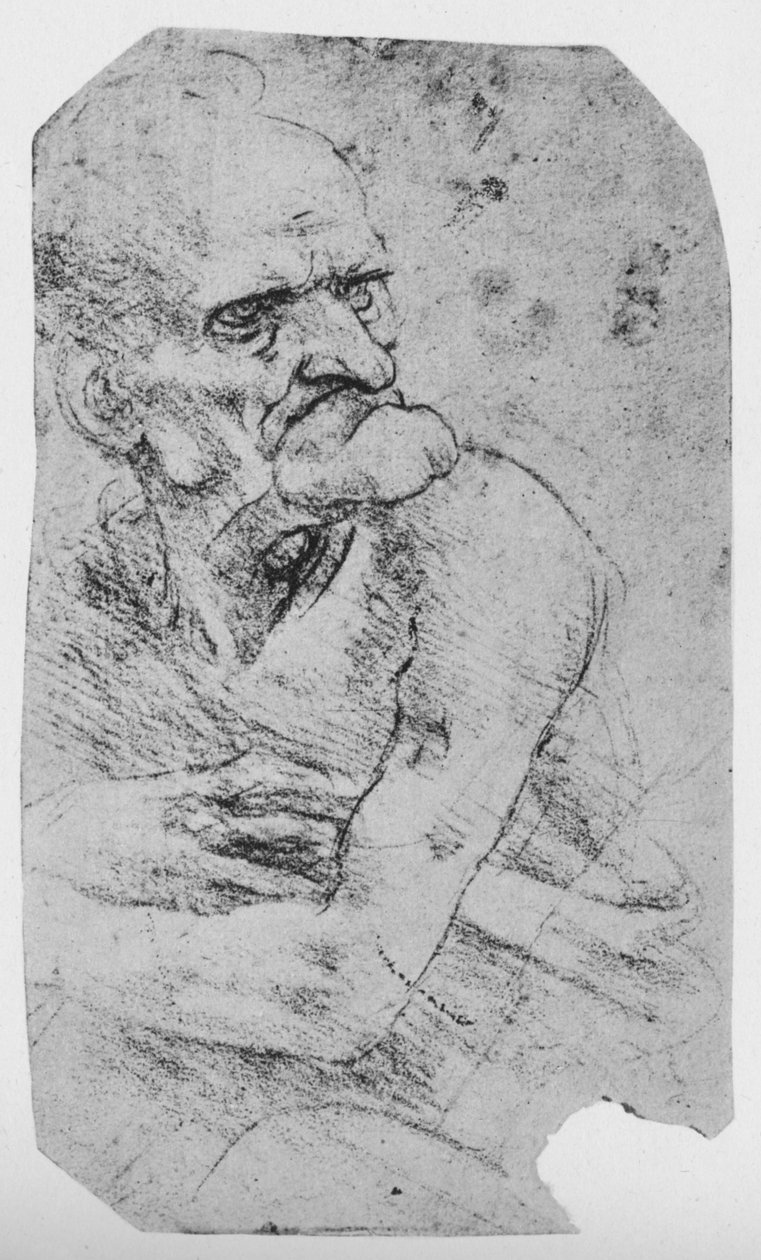 كاريكاتير نصف طول لرجل عجوز ذقن بارز ، c1480 1945 بواسطة ليوناردو دا فينشي