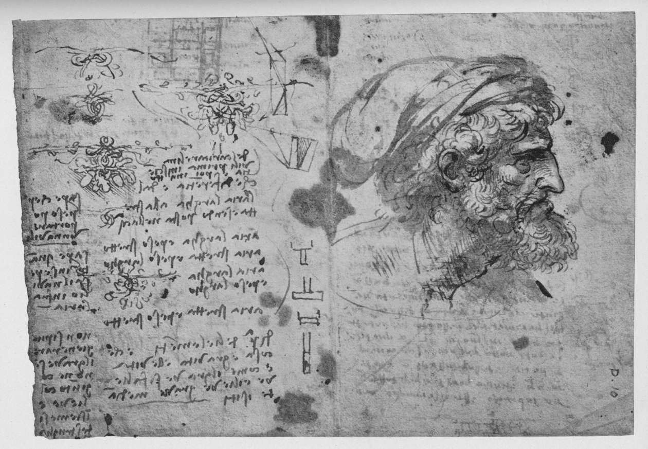 رأس وكتفين رجل ملتح ، c1480 1945 بواسطة ليوناردو دا فينشي
