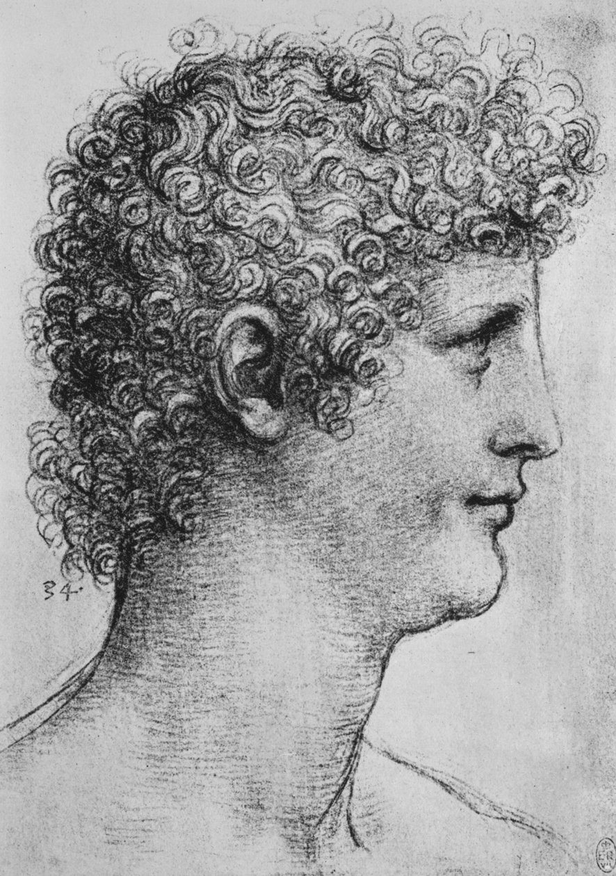 رأس شاب في ملف إلى اليمين ، c1480 1945 بواسطة ليوناردو دا فينشي